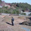 주암댐 전망대 이미지