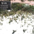 계명대학교 명교생활관