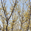 당진종합의료기 | 첨단전략산업 본격 지원을 위한 ｢제4차 국가첨단전략산업위원회｣ 개최