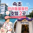 블루12속초오션파크 | 속초반려동물동반호텔 2곳, 강아지·고양이랑 묵기 좋은 숙소