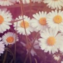 한국어교원 3급 양성과정 이미지