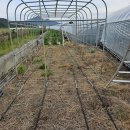 개신농장 이미지