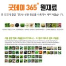 굿데이365 이미지