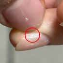 영등포의료기케어어 | 내돈내산 영등포구청역 네일샵 비추천 솔직후기(반말기본)