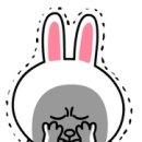 라임피부