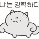 케이 레슬링 이미지