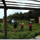 생음악차차차 이미지