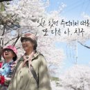 오손도손캠핑장 이미지