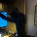 마야노래연습장 이미지