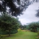 루트 골프 아카데미 | 루트골프아카데미 키즈 골프 대회 후기 아이들의 골프 첫걸음