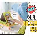 배고픈 곰돌이 이미지