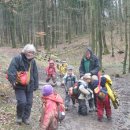 독일의 `숲속 유치원(Waldkindergarten)` 소개 이미지