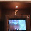 파리바게뜨(산본역점) | 9월은 내 생일-! 산본 데이트 코스 추천 만들기 전문점, 카페녹던, 포토이즘 박스 산본역점