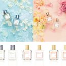 프란시스 이미지