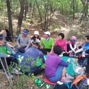 6월 3일 삼각산(북한산) 산행 스케치~ 이미지