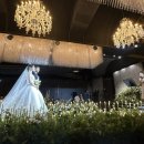 다혜축사 이미지