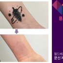 월드헤어라인