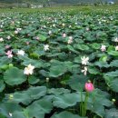 삼지수변공원 이미지