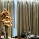 에덴꽃화원 이미지