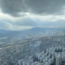 대구랜드마크인셀덤 | 잠실롯데타워 전망대+백화점 방문기