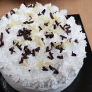 정선초등학교 이미지