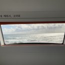 구룡포유니의바다