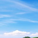 유영목장 이미지