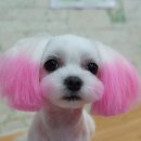 아잉