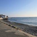 오션나비드풀빌라 이미지