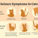 신현동물병원 이미지