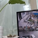 명서1민원센터 네이버블로그