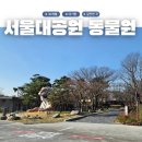 봉황대공원(주차장입구) | 서울대공원 동물원 벚꽃 주차 어린이놀이터 아이랑 코스 총정리 30개월 후기