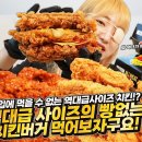 히밥 KFC 먹방 메뉴들 ㄷㄷ 이미지
