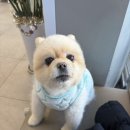 주안퍼스트병원 이미지