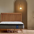 토르테 나무신문