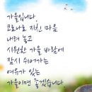우짜꼬 이미지