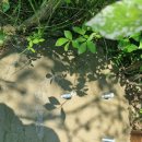 자전거공원 이미지