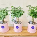 성산구청 이미지