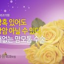 박신혜유외과의원 이미지