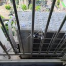 구구컴퍼니 | 비둘기 퇴치 숨고 더크린컴퍼니 비둘기퇴치망 설치 후 퇴치 성공후기