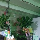 수정노래연습장 이미지