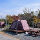 함평나비마을서울캠핑장 | [전라남도 함평군] 함평나비마을 서울시캠핑장
