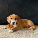 어깨동무수정 이미지