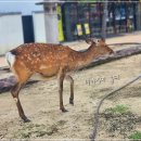 신성여인숙 이미지