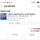 코델리아S | 25년 제주 찐~가성비 코델리아s호텔후기(야외 수영장, 조식)