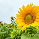 꿀벌체험장 이미지