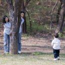 돌스냅 전문업체 베라모멘토 만삭야외촬영후기