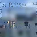 웅남초등학교 후문 앞 | 충격 도운이 보러 이틀 내리 진해 다녀온 인간 진짜 계심 ㅣ도운 실물 후기