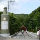 와인터널 이미지