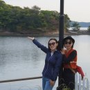 정다운투어 - 남구 삼산로143번길 24 | 정다운투어